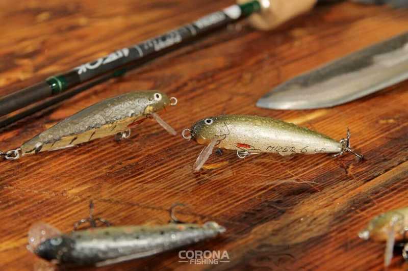 wobler na płytką wodę